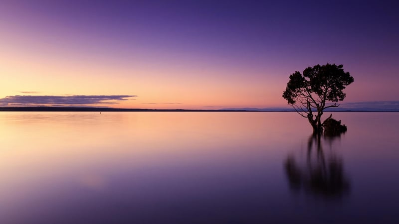 Sunset silhouette of a couple